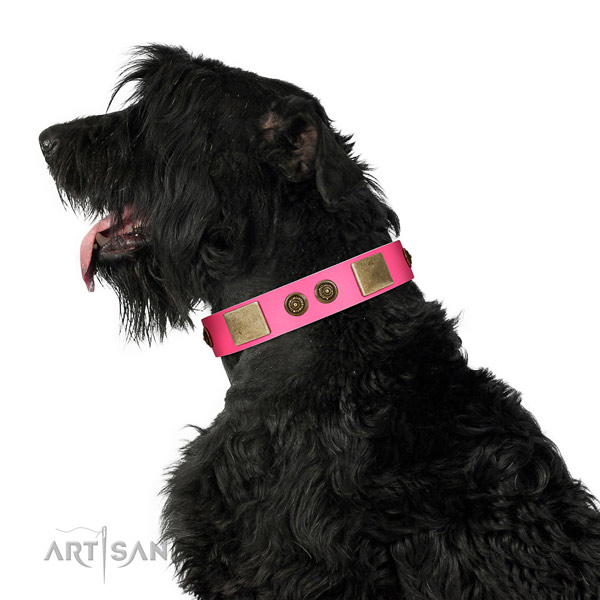 Stunning dog collar handmade for your handsome dog