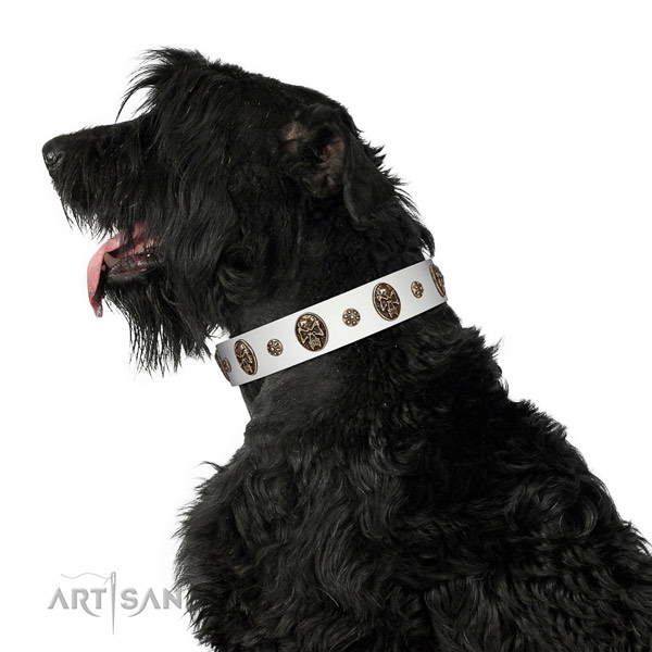Handy use dog collar of genuine leather with unique embellishments