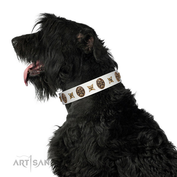 Embellished dog collar made for your stylish canine