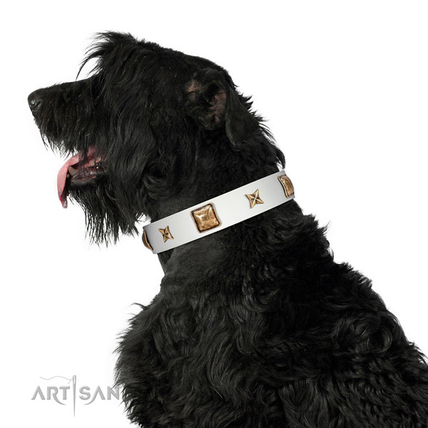 Full grain leather collar with studs for your attractive doggie