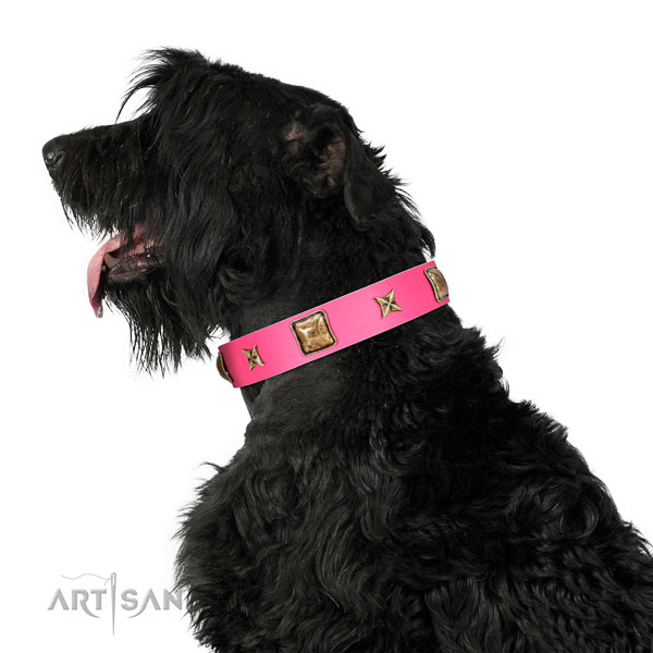 Genuine leather dog collar of flexible material with fashionable studs
