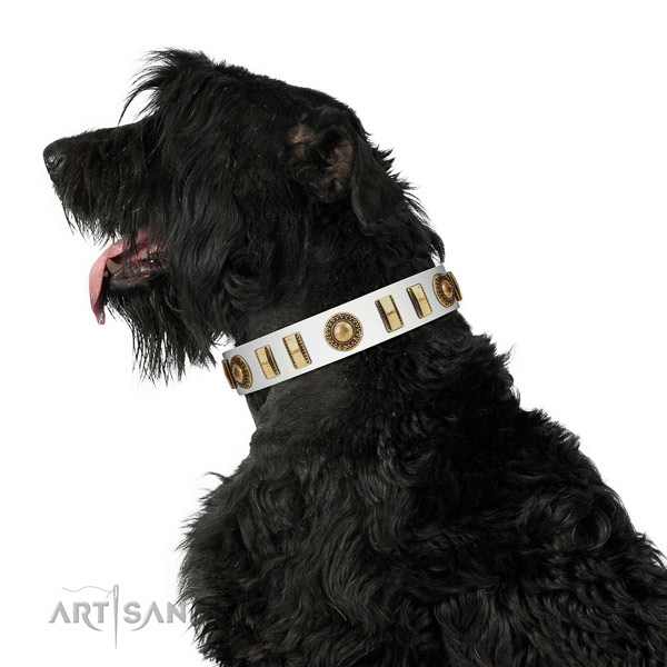 Adorned full grain leather dog collar with corrosion proof traditional buckle