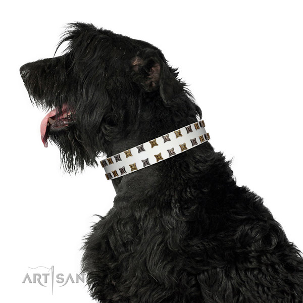 Reliable natural leather dog collar with embellishments for your four-legged friend