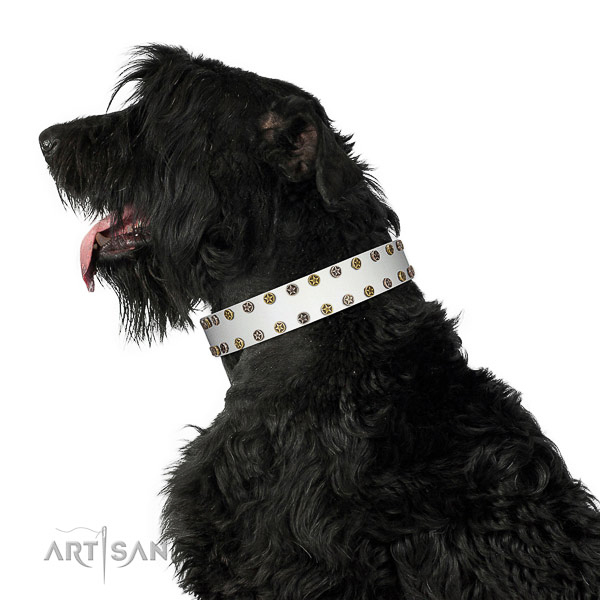 Top notch leather dog collar with rust-proof embellishments
