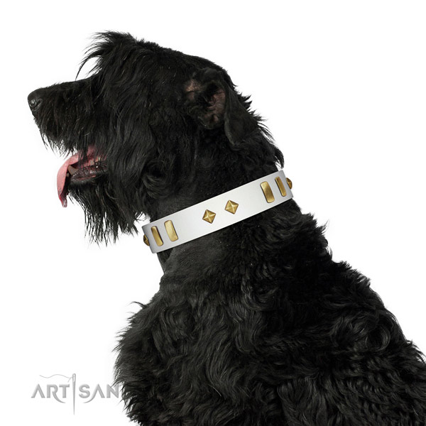 Daily walking high quality full grain genuine leather dog collar with adornments