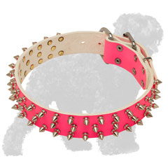 Pink Leather Russian Terrier Collar with Nickel Spikes