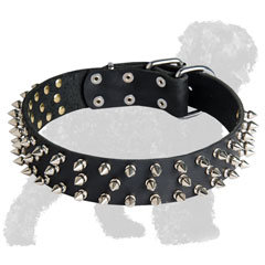 Spiked Leather Russian Terrier Collar