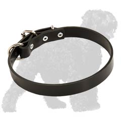 Always in Fashion Leather Dog Collar