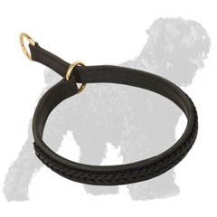 Fashionable Black Russian Terrier collar