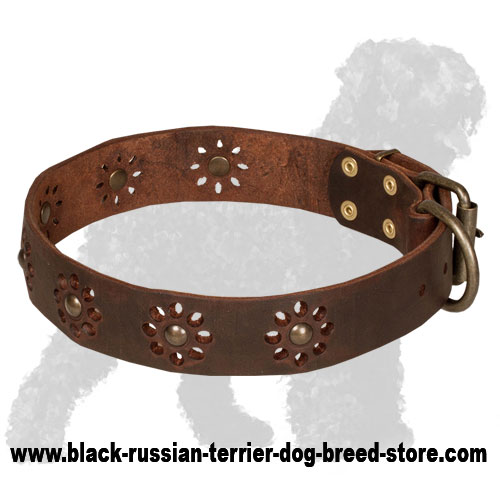 Designer Brown Leather Collar – KNOX DOGWEAR