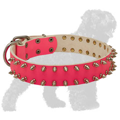 Hand-Decorated Walking Pink Leather Black Russian Terrier Collar with Spikes