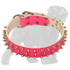 Stylish Pink Walking Spiked Leather Russian Terrier Collar