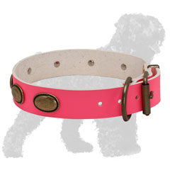 Pink Strong Walking Leather Russian Terrier Collar with Brass Hardware