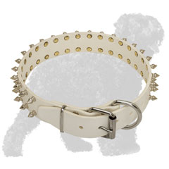 Spiked White Leather Black Russian Terrier Collar with Strong Buckle