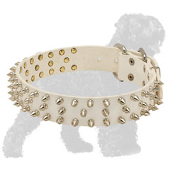 White Walking Spiked Leather Black Russian Terrier Collar