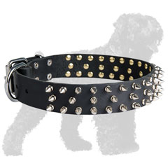 Trendy Walking Leather Black Russian Terrier Collar with Spikes