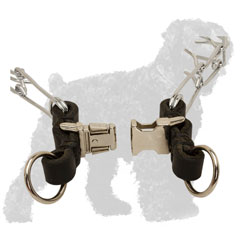 Durable Quick Release Buckle of Chrome Plated Steel Russian Terrier Prong Collar