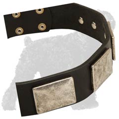 Creative Design Leather Collar