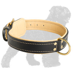 Comfortable Leather Russian Terrier Collar with Fur Protection Plate