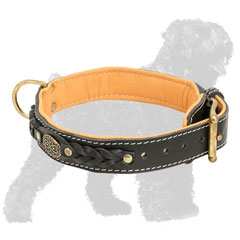 Braided Padded Walking Leather Russian Terrier Collar