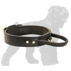 Soft Padded Walking Leather Russian Terrier Collar