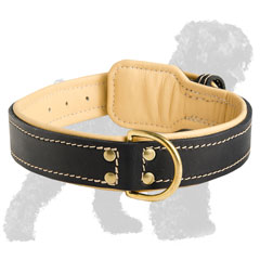 Walking Leather Padded Dog Collar for Russian Terrier with D-ring