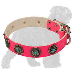 Extraordinary Pink Walking Leather Russian Terrier Collar with Nickel Circles and Blue Stones