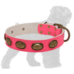 Pink Leather Black Russian Terrier Collar with Brass Oval Plates