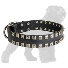 Walking Leather Russian Terrier Collar with Studs