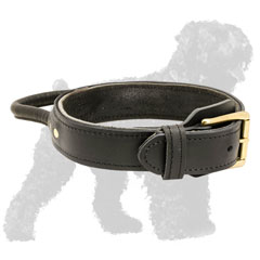 Adjustable Leather Russian Terrier Collar with Handle and Brass Fittings