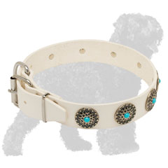 Adjustable White Leather Russian Terrier Collar with Nickel Hardware