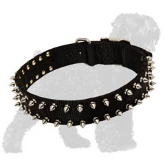 Walking Spiked Nylon Dog Collar for Russian Terrier