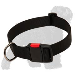 Walk your Dog with Pleasure