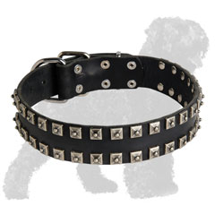 Training Leather Russian Terrier Collar with Studs