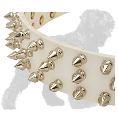 Spikes on Leather Russian Terrier Collar