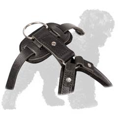 Easy wearing leather Harness for Black Russian Terrier