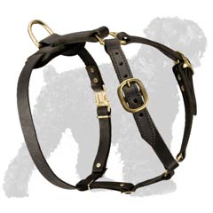 Russian Terrier Leather Harness without a Chest Plate