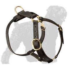 Excellent Quality Russian Terrier Harness