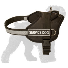 Lightweight Nylon Russian Terrier Harness with a Reflective Strap