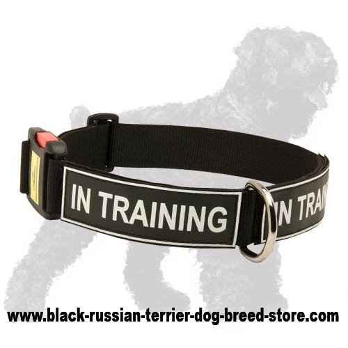 Fabulous Extra Strong Russian Terrier Nylon Dog Collar with Patches