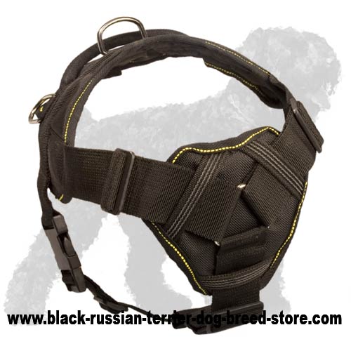 Stunning Nylon Russian Terrier Harness with Soft Chest Plate
