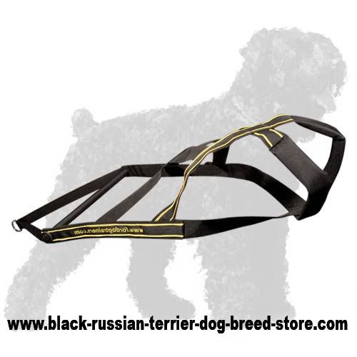 Remarkable Nylon Russian Terrier Dog Harness for Pulling