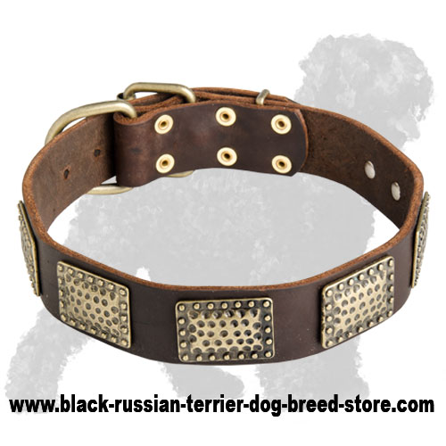 Gorgeous Handcrafted Leather Russian Terrier Collar with Large Plates