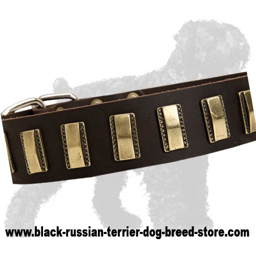 Gorgeous Leather Russian Terrier Collar with Hand Set Sparkling Plates