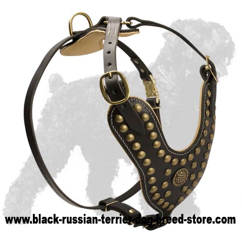 Outstanding Design Studded Leather Harness for Black Russian Terriers