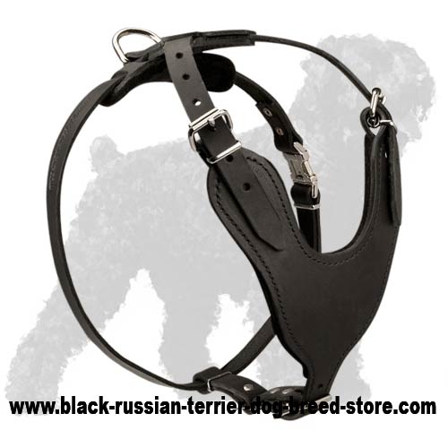 Best Leather High Quality Dog Harness for Black Russian Terrier