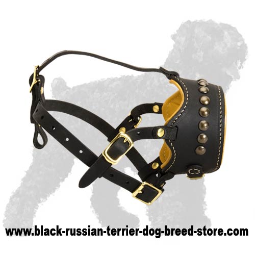 Brilliantly Designed Russian Terrier Leather Dog Muzzle with Brass Studs