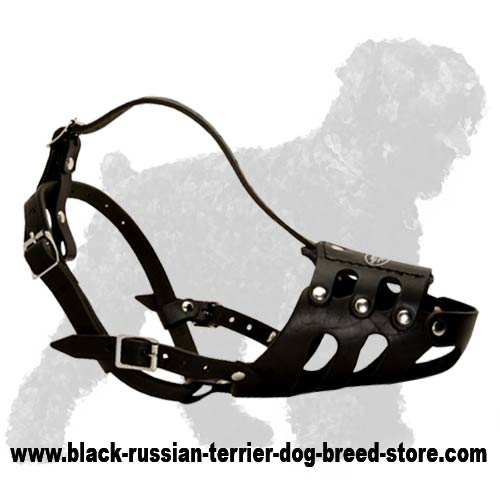 Extra strong adjustable muzzle for Black Russian Terrier