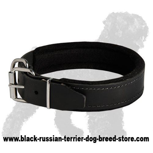 Padded Leather Dog Collar with Thick Felt Padding
