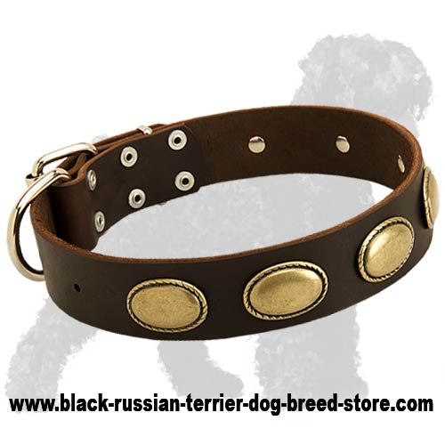 Gorgeous Vintage Dog Leather Collar for Russian Terriers